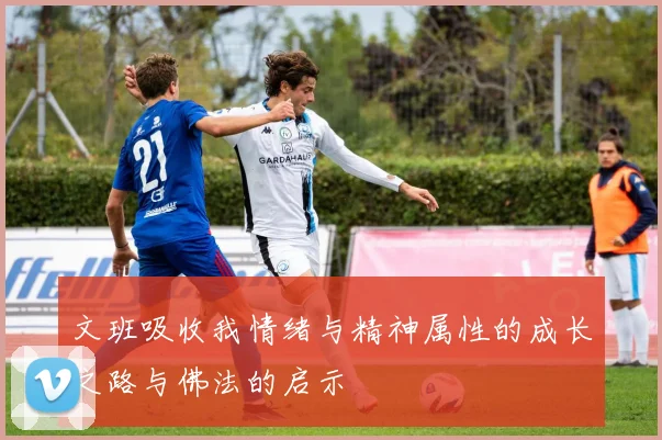 文班吸收我情绪与精神属性的成长之路与佛法的启示