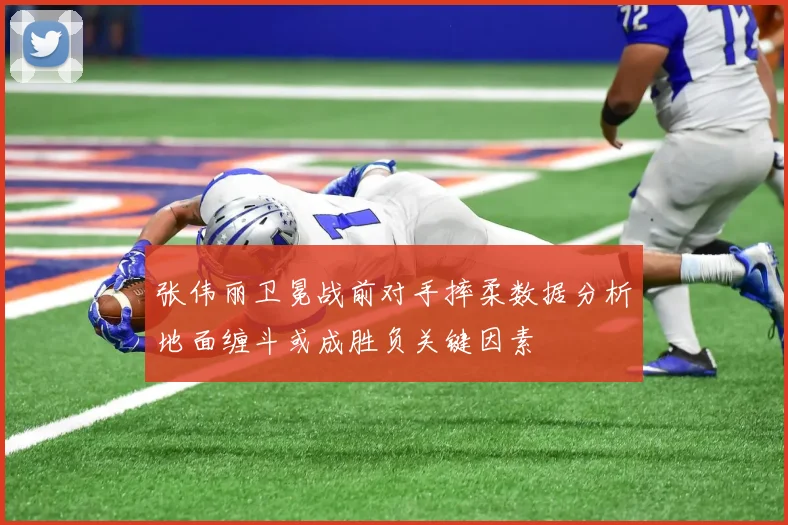 张伟丽卫冕战前对手摔柔数据分析地面缠斗或成胜负关键因素
