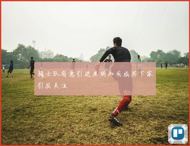 骑士队有意引进库明加或成其下家引发关注